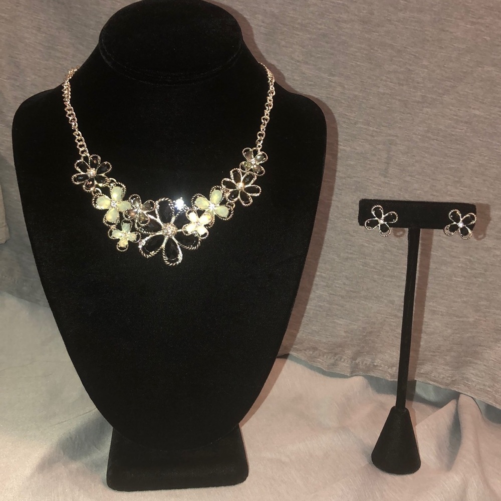 Dana Buchman Necklace & Earrings